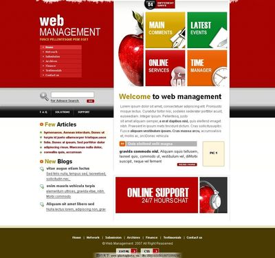 網(wǎng)頁設(shè)計(jì)中的模板圖片 提升效率與美感的完美結(jié)合